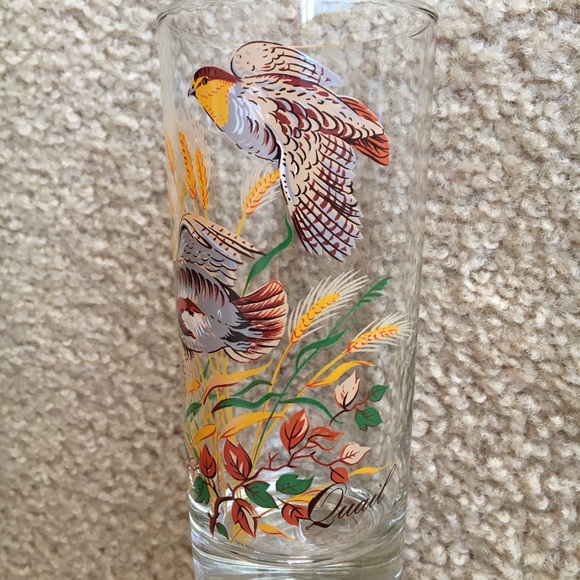 RARE! Vintage (Set of 8) Wild Fowl Glasses - Picture 5 of 9